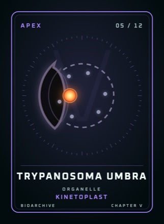 Card: TRYPANOSOMA UMBRA