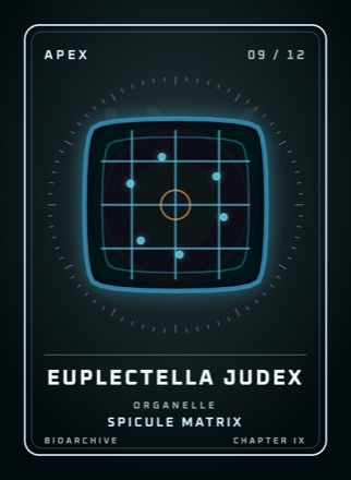 Card: EUPLECTELLA JUDEX