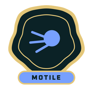 MOTILE enamel pin