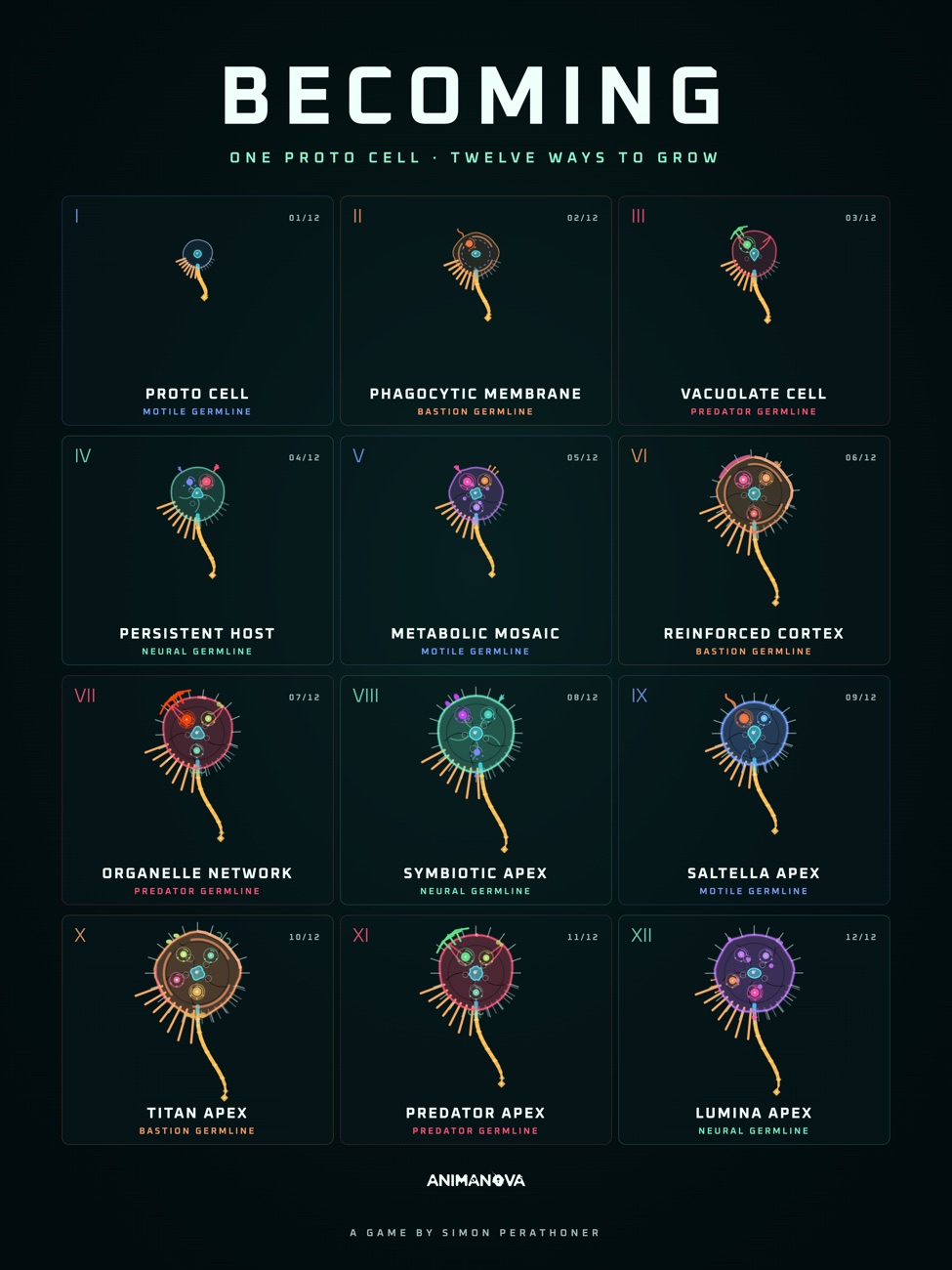 Poster: The player's cell, twelve ways: the eight forms and four apex lineages, grown in the game