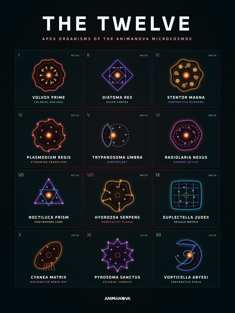Poster: The twelve apex organisms in chapter order