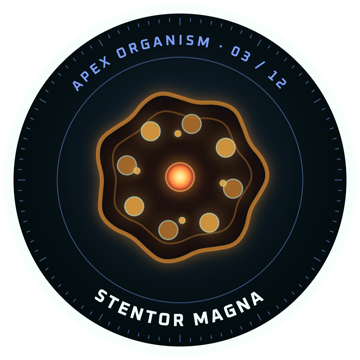 Sticker: STENTOR MAGNA