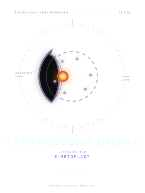 TRYPANOSOMA UMBRA · KINETOPLAST T-shirt design