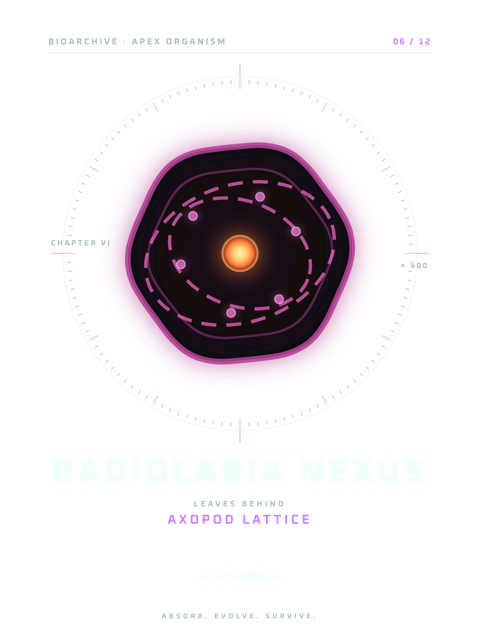 RADIOLARIA NEXUS · AXOPOD LATTICE T-shirt design