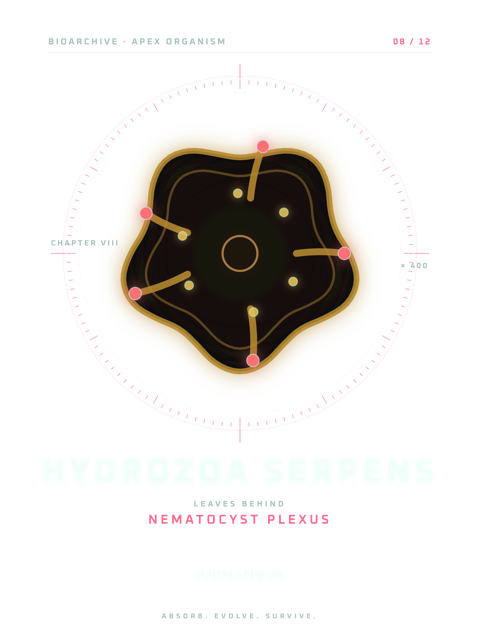 HYDROZOA SERPENS · NEMATOCYST PLEXUS T-shirt design