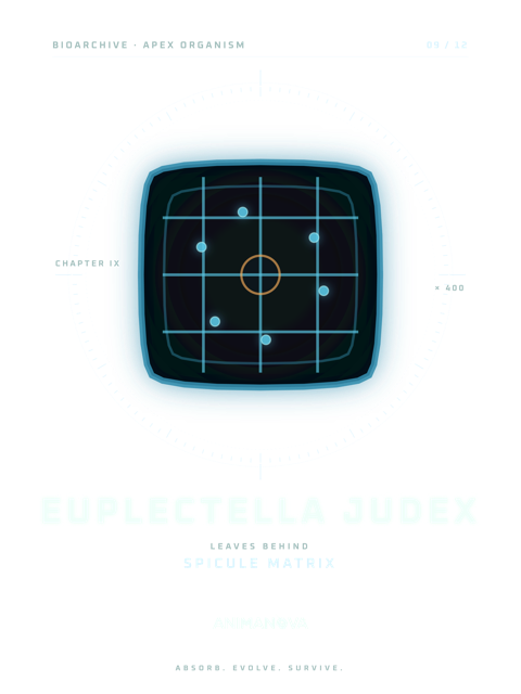 EUPLECTELLA JUDEX · SPICULE MATRIX T-shirt design