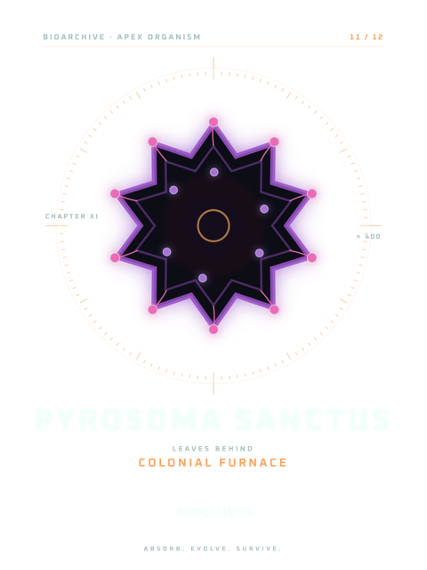 PYROSOMA SANCTUS · COLONIAL FURNACE T-shirt design